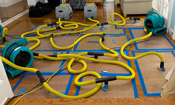 Professional Sewage Cleanup technician working in Franklin, MI